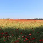 בית נופש Reethaus 